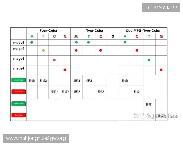 PG最新版本优化策略与玩家反馈分析，提升游戏体验的实用建议与技巧分享